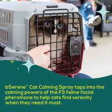 Load image into Gallery viewer, bSerene Pheromone Calming Spray for Cats - 60mL
