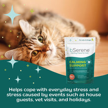 Load image into Gallery viewer, bSerene™ Cat Calming Chews - 60 Count
