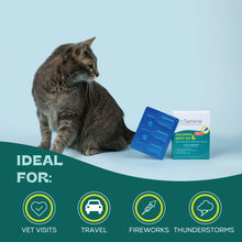 Load image into Gallery viewer, bSerene Valerian Calming Spot On for Cats - 3 Applications
