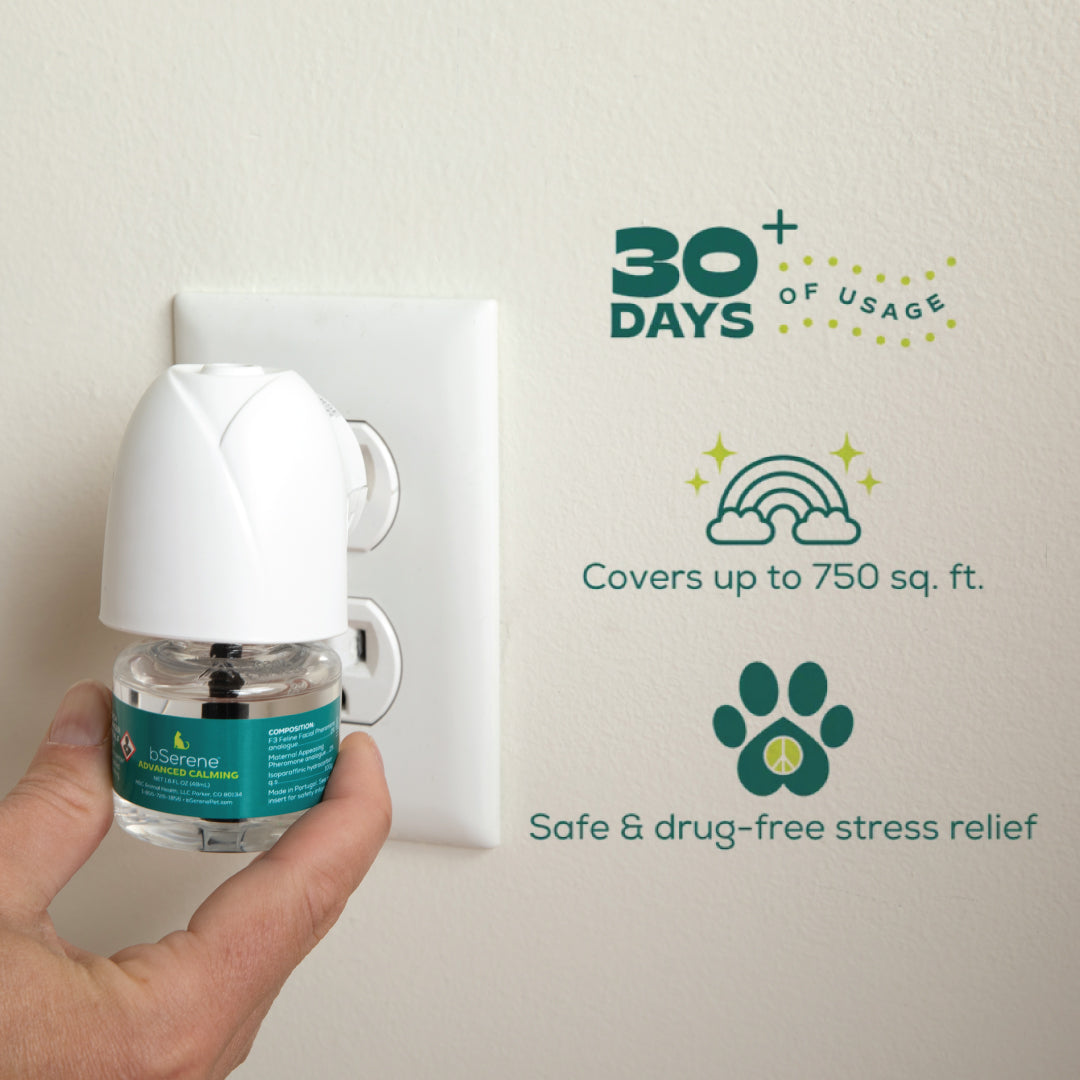 bSerene Dog Calming Diffuser Kit