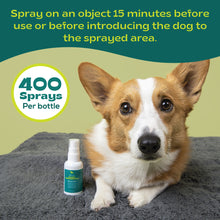 Load image into Gallery viewer, bSerene Pheromone Calming Spray for Dogs - 60 mL
