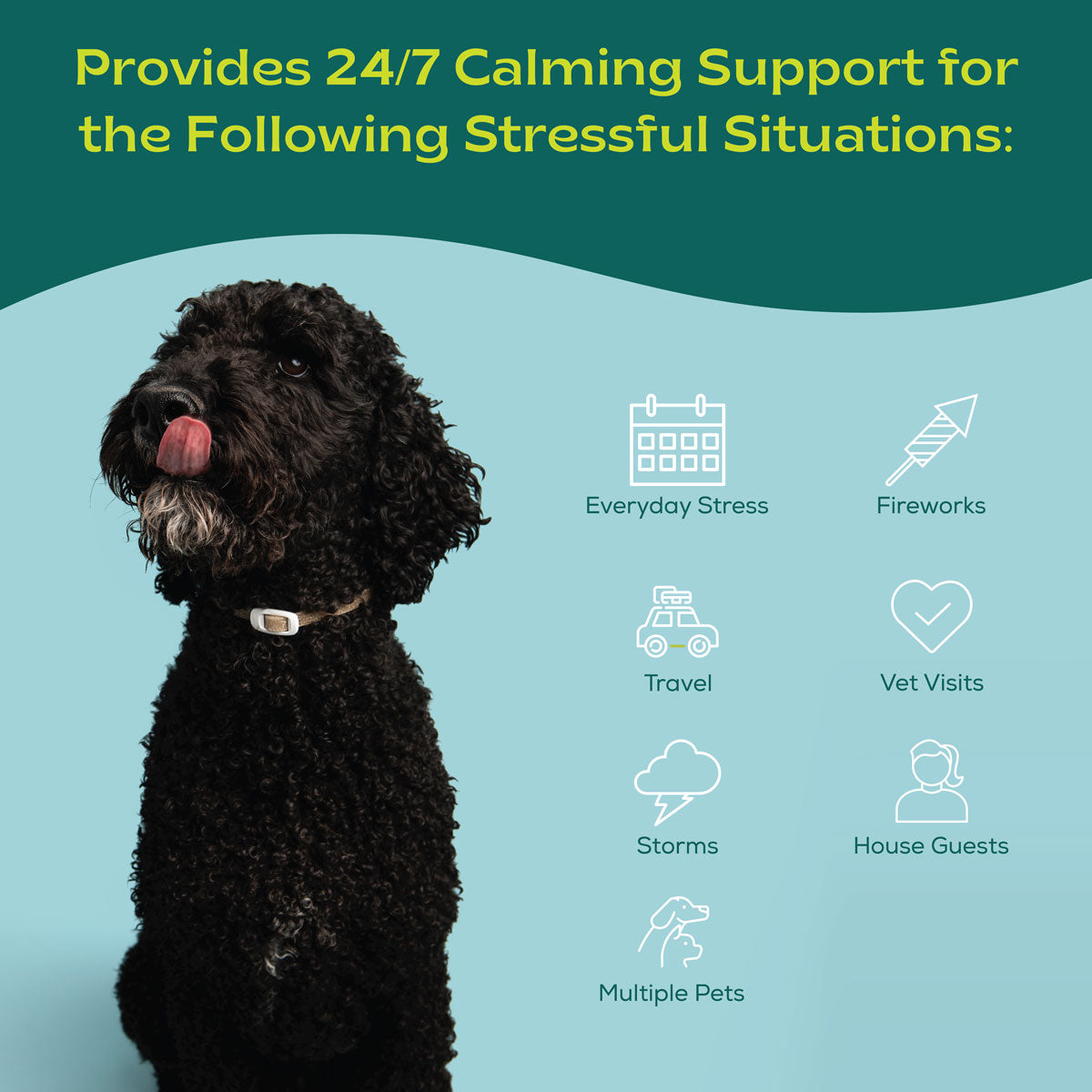 bSerene™ Calming Dog Collar