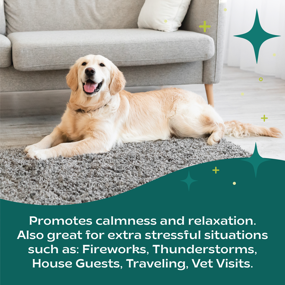 bSerene™ Dog Calming Chews - 45 Count